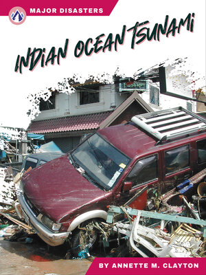 cover image of Indian Ocean Tsunami